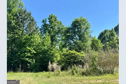 000 Leslie Mill Road, Greensboro, GA 30642 - Photo 13