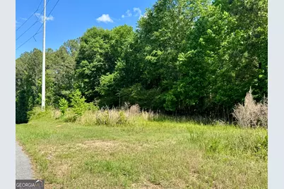 000 Leslie Mill Road, Greensboro, GA 30642 - Photo 11