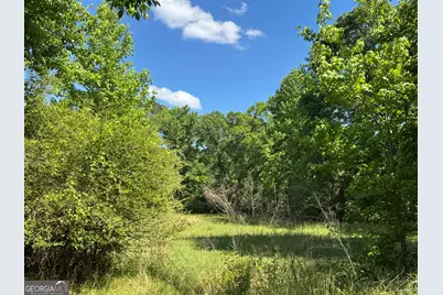 000 Leslie Mill Road, Greensboro, GA 30642 - Photo 17