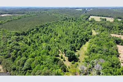 000 Leslie Mill Road, Greensboro, GA 30642 - Photo 21