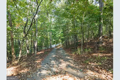 350 Old River Road, Cornelia, GA 30531 - Photo 5