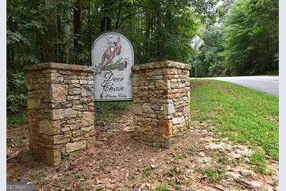 1175 Deer Chase Road, Toccoa, GA 30577 - Photo 3