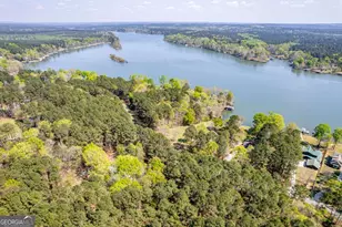 462 Rockville Springs Dr, Eatonton, GA 31024 - Photo 51
