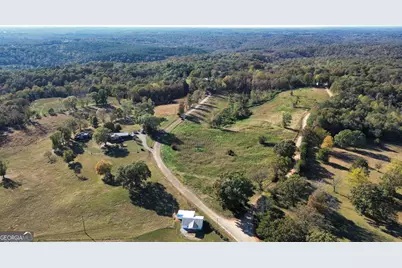 115 Roan Williams Road, Royston, GA 30662 - Photo 3