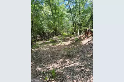 2415 E US Hwy 82, Shellman, GA 39886 - Photo 15