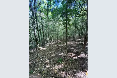 2415 E US Hwy 82, Shellman, GA 39886 - Photo 19