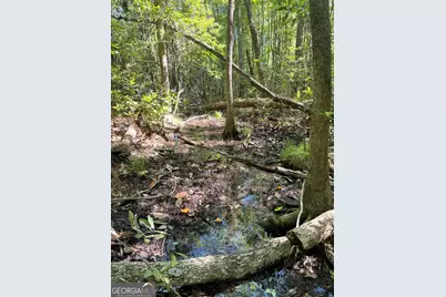 2415 E US Hwy 82, Shellman, GA 39886 - Photo 17
