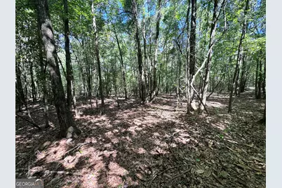 2415 E US Hwy 82, Shellman, GA 39886 - Photo 9