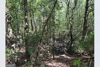 2415 E US Hwy 82, Shellman, GA 39886 - Photo 21