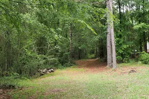132 N Ocmulgee Blvd, Jacksonville, GA 31544 - Photo 53