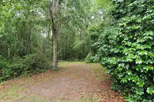 132 N Ocmulgee Blvd, Jacksonville, GA 31544 - Photo 9
