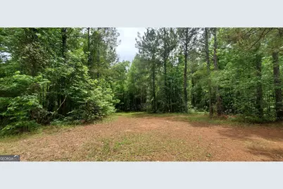132 N Ocmulgee Boulevard, Jacksonville, GA 31544 - Photo 49