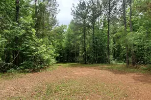 132 N Ocmulgee Blvd, Jacksonville, GA 31544 - Photo 49