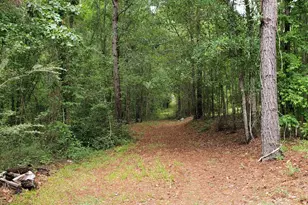 132 N Ocmulgee Blvd, Jacksonville, GA 31544 - Photo 55