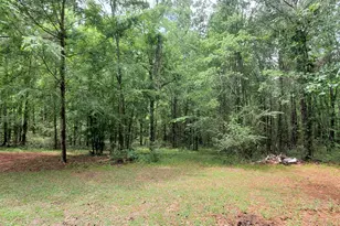 132 N Ocmulgee Blvd, Jacksonville, GA 31544 - Photo 45
