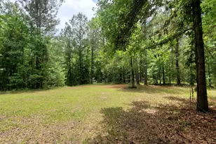132 N Ocmulgee Blvd, Jacksonville, GA 31544 - Photo 47
