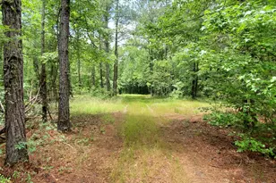 132 N Ocmulgee Blvd, Jacksonville, GA 31544 - Photo 51
