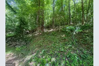 0 Bible Baptist, Ellijay, GA 30536 - Photo 3