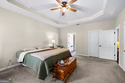 466 Bob Smith Road, Sharpsburg, GA 30277 - Photo 27