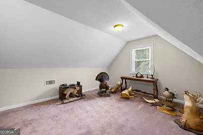 466 Bob Smith Road, Sharpsburg, GA 30277 - Photo 43