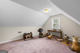 466 Bob Smith Rd, Sharpsburg, GA 30277 - Photo 43