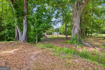 466 Bob Smith Road, Sharpsburg, GA 30277 - Photo 59