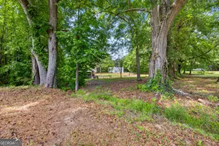 466 Bob Smith Rd, Sharpsburg, GA 30277 - Photo 59