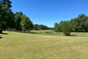 156 Cottage Club Dr, Locust Grove, GA 30248 - Photo 3