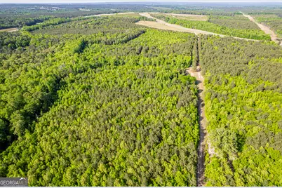 21701 Highway 441, Mcintyre, GA 31054 - Photo 5