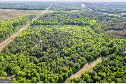 21701 Highway 441, Mcintyre, GA 31054 - Photo 3