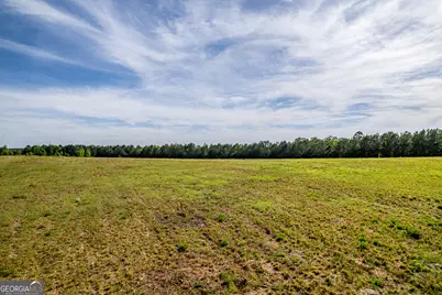 21701 Highway 441, Mcintyre, GA 31054 - Photo 9