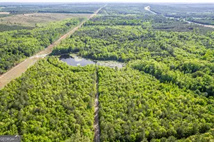 21701 Hwy 441, Mcintyre, GA 31054 - Photo 1