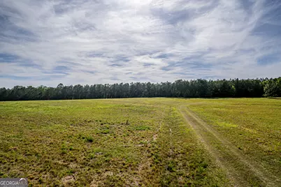 21701 Highway 441, Mcintyre, GA 31054 - Photo 11