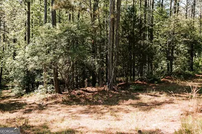 111 Rocky Drive, Carlton, GA 30627 - Photo 19