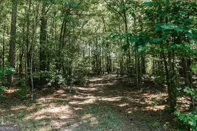111 Rocky Drive, Carlton, GA 30627 - Photo 15