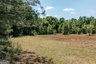 111 Rocky Drive, Carlton, GA 30627 - Photo 5
