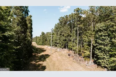 111 Rocky Drive, Carlton, GA 30627 - Photo 9