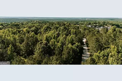 111 Rocky Drive, Carlton, GA 30627 - Photo 31