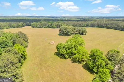 0 Pitts Chapel Road, Monticello, GA 31064 - Photo 15