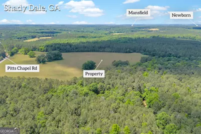 0 Pitts Chapel Road, Monticello, GA 31064 - Photo 5