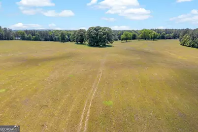 0 Pitts Chapel Road, Monticello, GA 31064 - Photo 21
