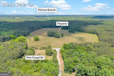 0 Pitts Chapel Road, Monticello, GA 31064 - Photo 3