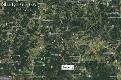 0 Pitts Chapel Road, Monticello, GA 31064 - Photo 7