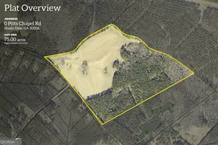0 Pitts Chapel Rd, Monticello, GA 31064 - Photo 1