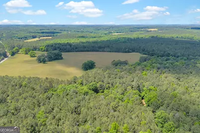 0 Pitts Chapel Road, Monticello, GA 31064 - Photo 11