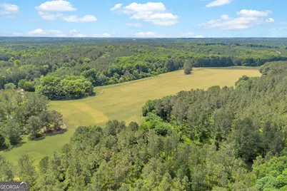 0 Pitts Chapel Road, Monticello, GA 31064 - Photo 13