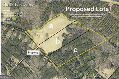 0 Lot B Pitts Chapel Road, Monticello, GA 31064 - Photo 1