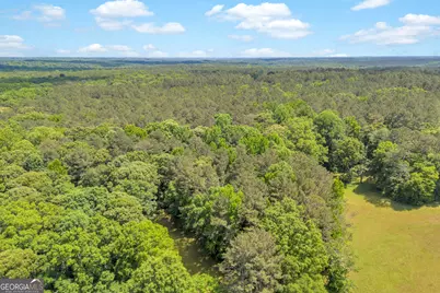 0 Lot C Pitts Chapel Road, Monticello, GA 31064 - Photo 3