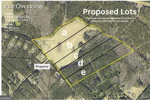 Lot C 0 Pitts Chapel Rd, Monticello, GA 31064 - Photo 1