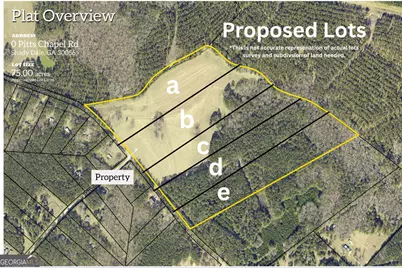 Lot C 0 Pitts Chapel Road, Monticello, GA 31064 - Photo 1